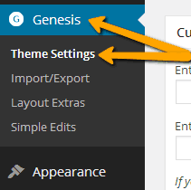 Adding Google analytics in Genesis theme