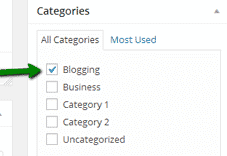 Adding category to WordPress post