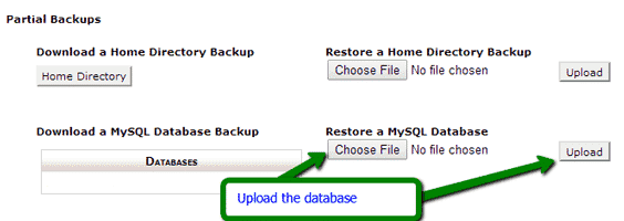 Restore the database in cPanel