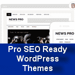 Premium professional WordPress Themes