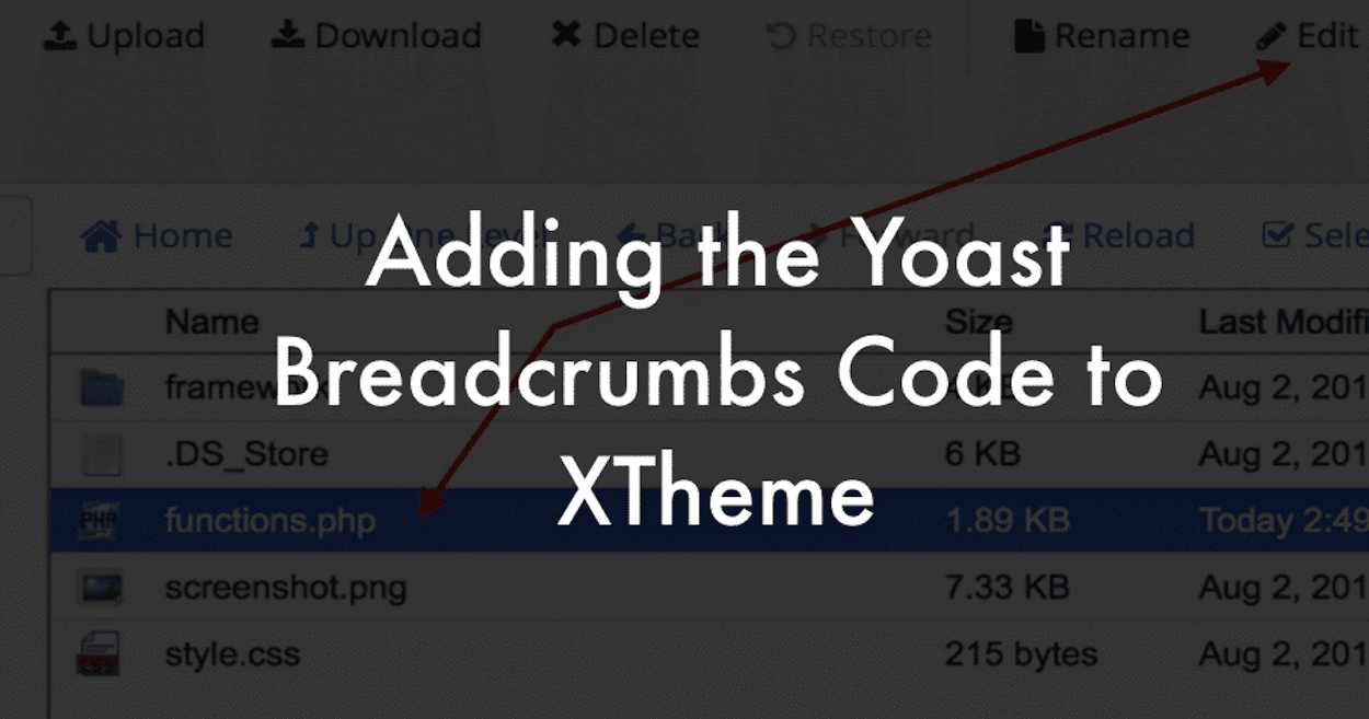Adding Yoast Breadcrumbs code to XTheme