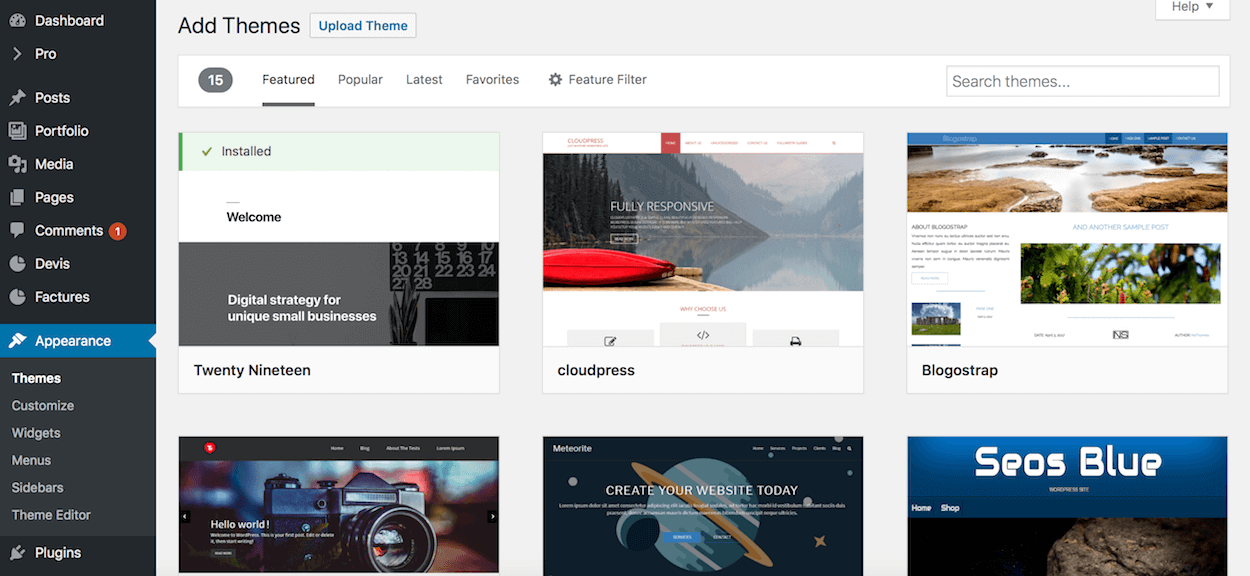 Buy and Install a WordPress Theme