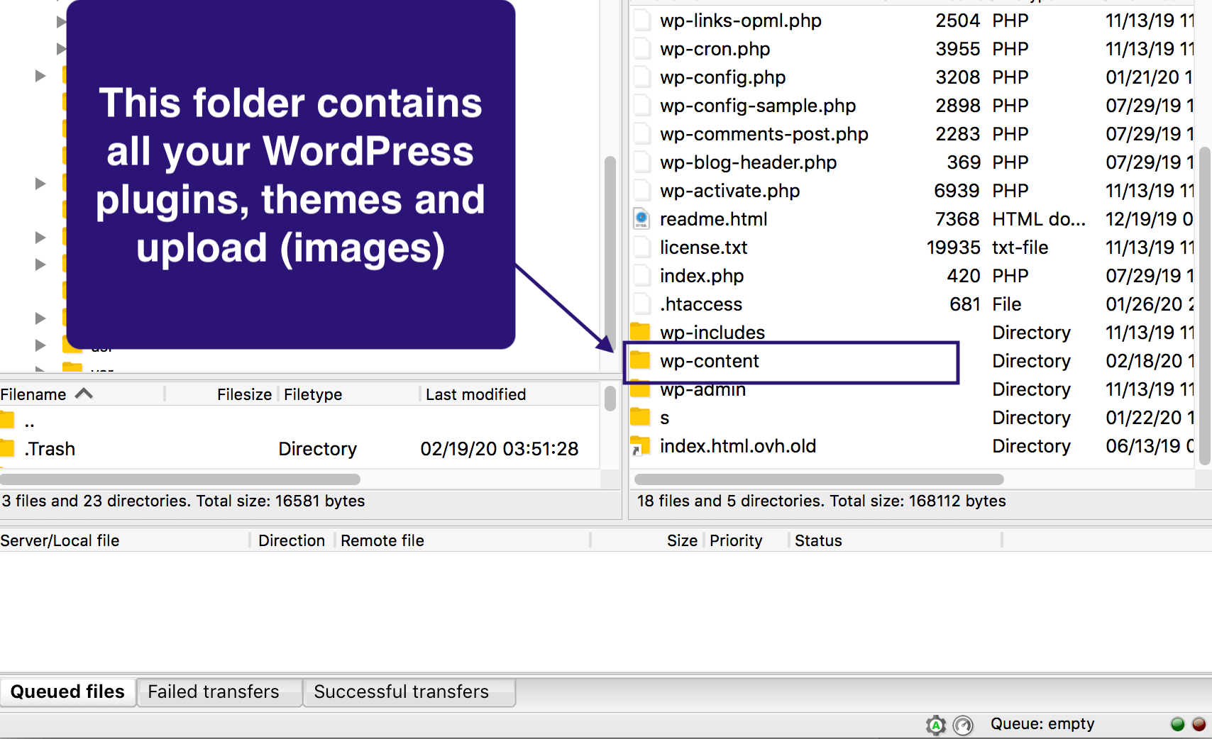 opening the wp-content folder
