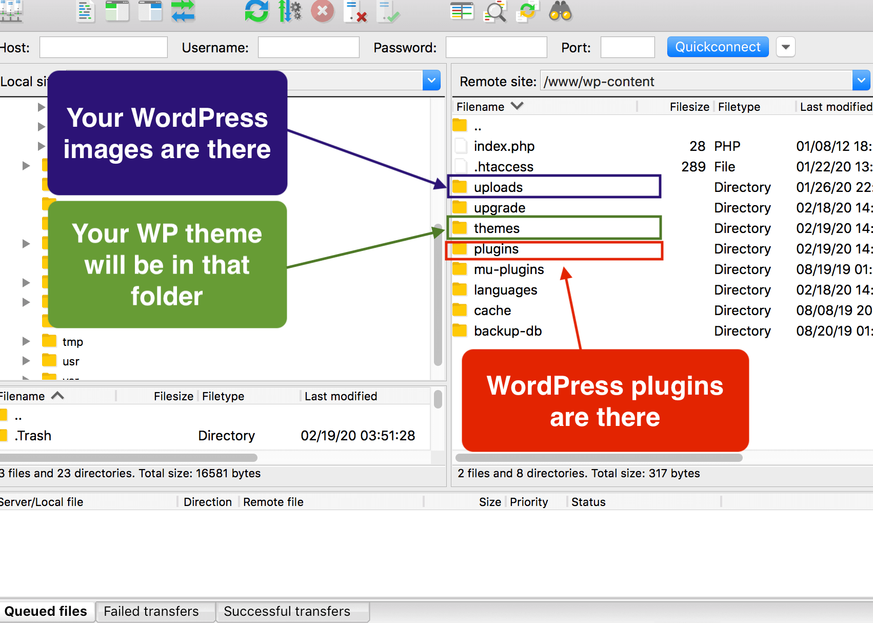 "wp-uploads", "themes" and "plugins" folders